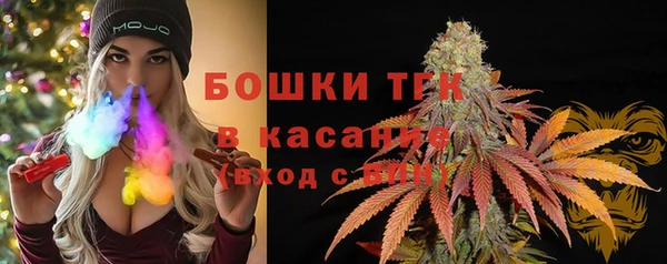 стаф Шали