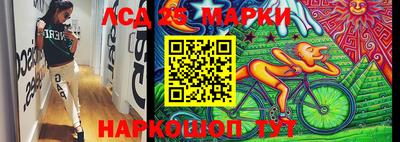 крисы Кандалакша