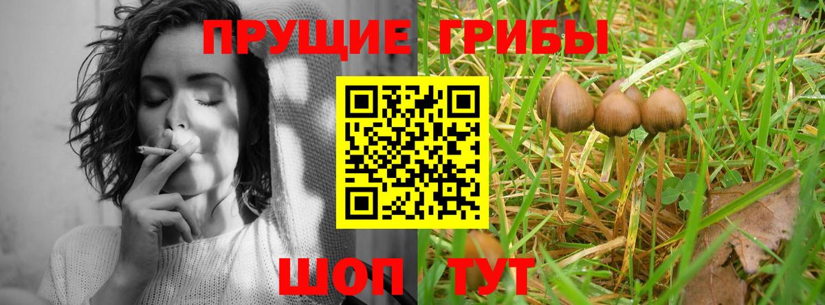Псилоцибиновые грибы ЛСД  Вход с VPN  Первоуральск  Галлюциногенные грибы Magic Shrooms 